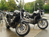 Motorrad Ausbildungsfahrzeuge Honda CBF 500 und Honda CBF 600